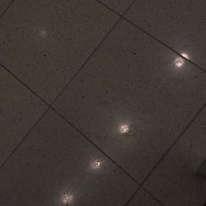 Meet your Posher, Suzanne